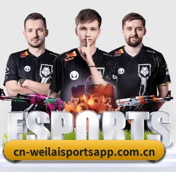 纬来体育 APP 界面（WL SPORTS）